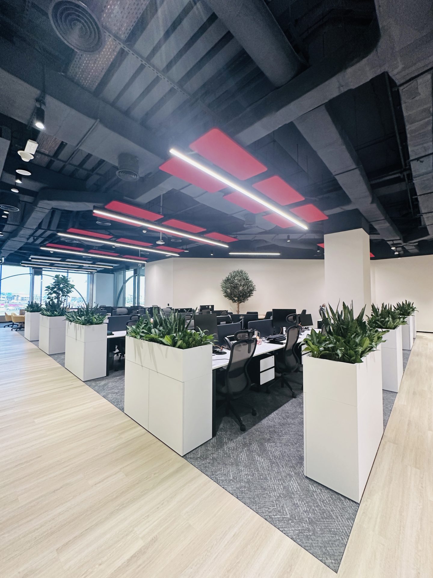 Corporate Office Branding, Architectural Lighting & Signage | Mall of the Emirates (MOE) gallery image 6